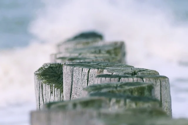 a1010：轻松掌握数字运算利器