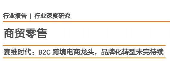 《商贸零售：赛维时代：B2C跨境电商龙头，品牌化转型未完待续》PDF下载