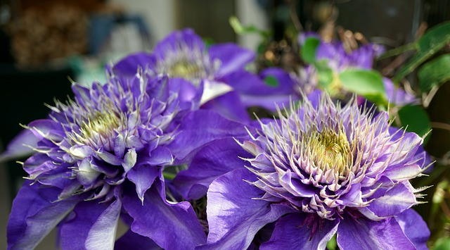 详解竞价广告的推广策略