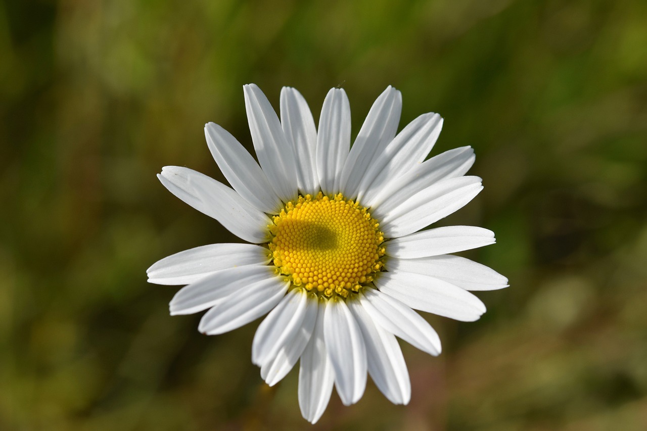 亚马逊轻小件计划：优惠政策及使用方法介绍