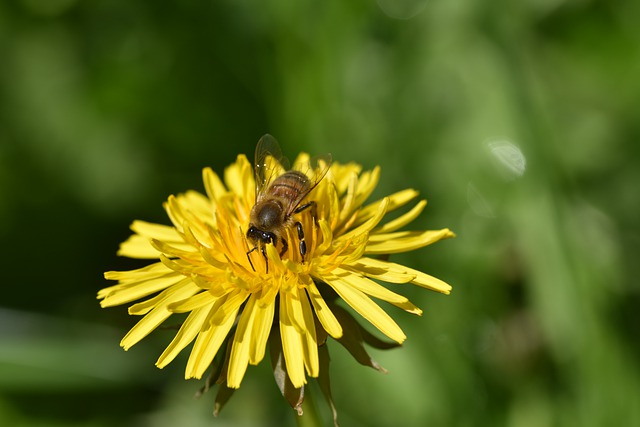 爱飞转运普通小包是什么，贵吗？