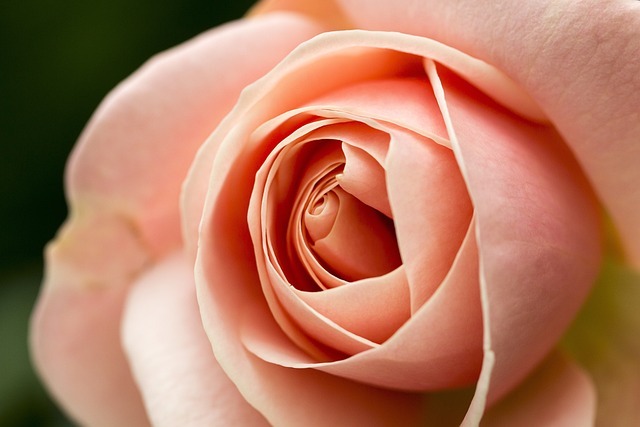 关键字排名查询的使用方法速