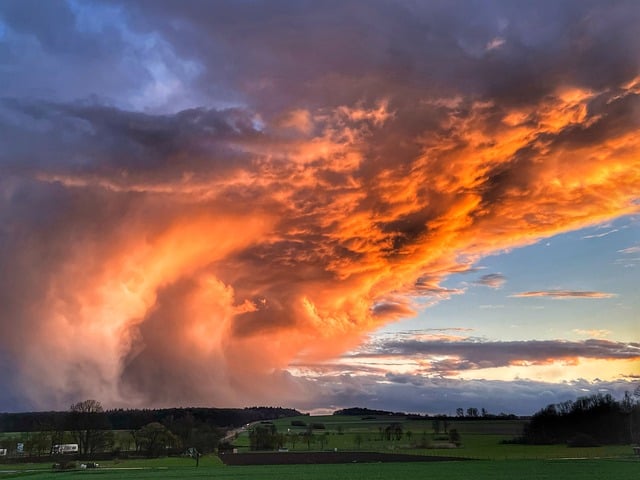 货比三家，哪个跨境客服系统更适合你 