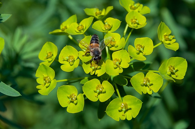 了解跨境电商的税务政策和法规