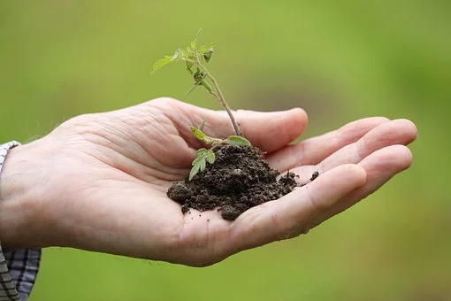 独立站SEO优化指南：提高网站排名和流量的技巧与方法