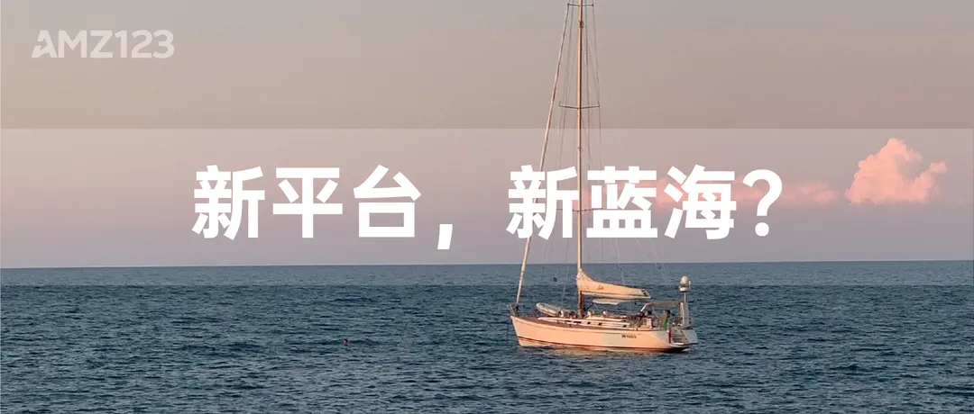 揭秘!首批入驻SHEIN的卖家正在闷声发大财
