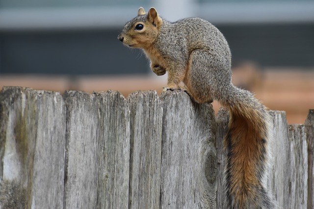 解析境外投资备案的意义和作用