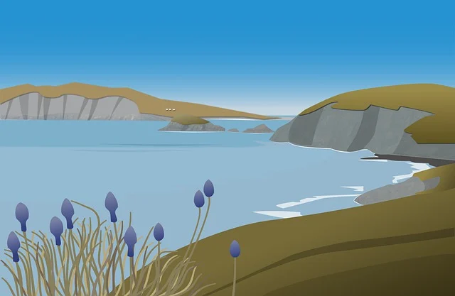 国外网站推广的方法和技巧