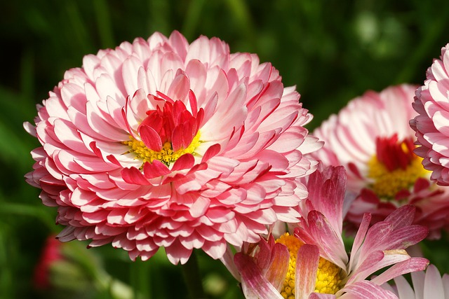 详解韩国清关流程及代码申报