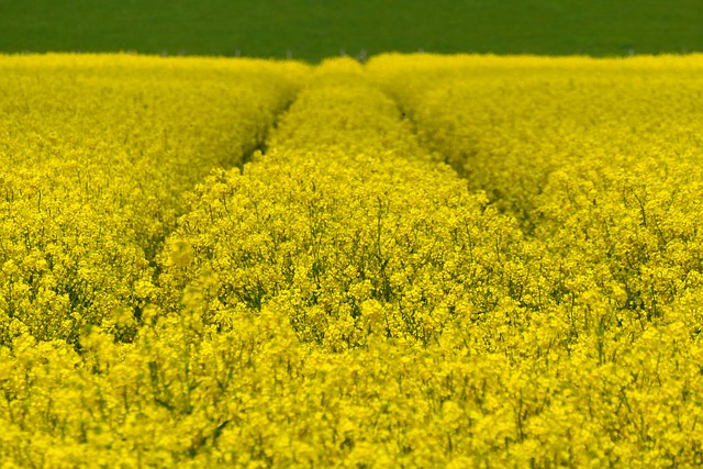 干货分享：爱飞转运官网如何进入