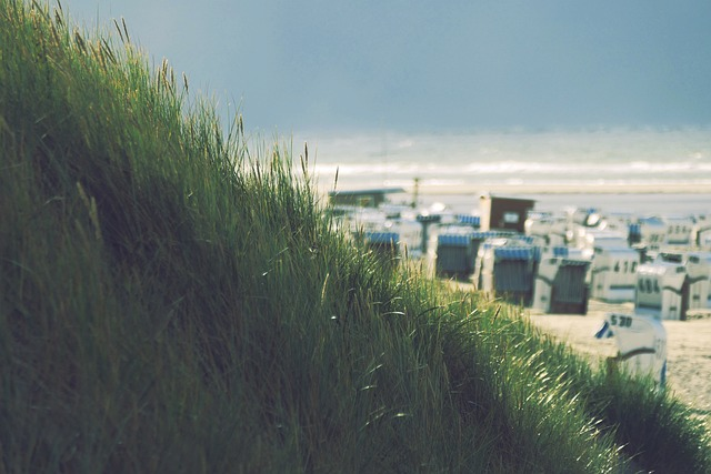 跨境电商保险代理:保障跨境电商交易的安全保险服务