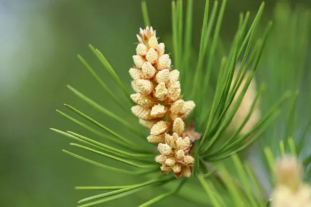 速卖通活动节点-轻松开启跨境电商之路