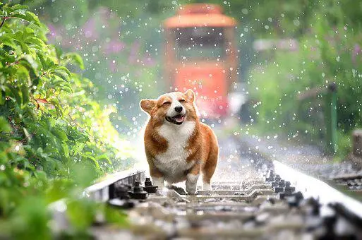 亚马逊欧洲站网址