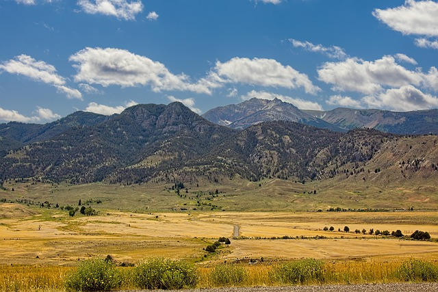 爱飞海淘查单的优势有哪些-如何使用？