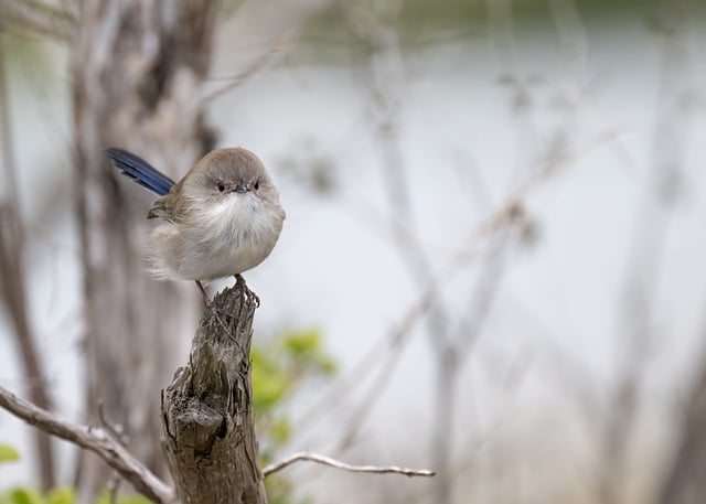 货代行业发展和客户开发技巧