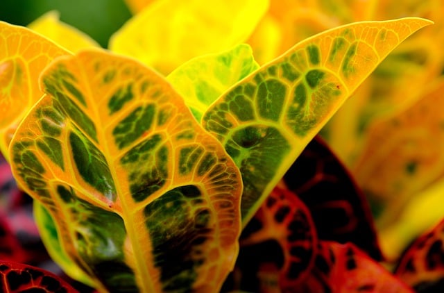 技术员转行做跨境电商:打造全新的网站推广策划书