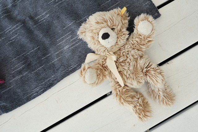 TikTok新手必读:如何成功运营你的账号