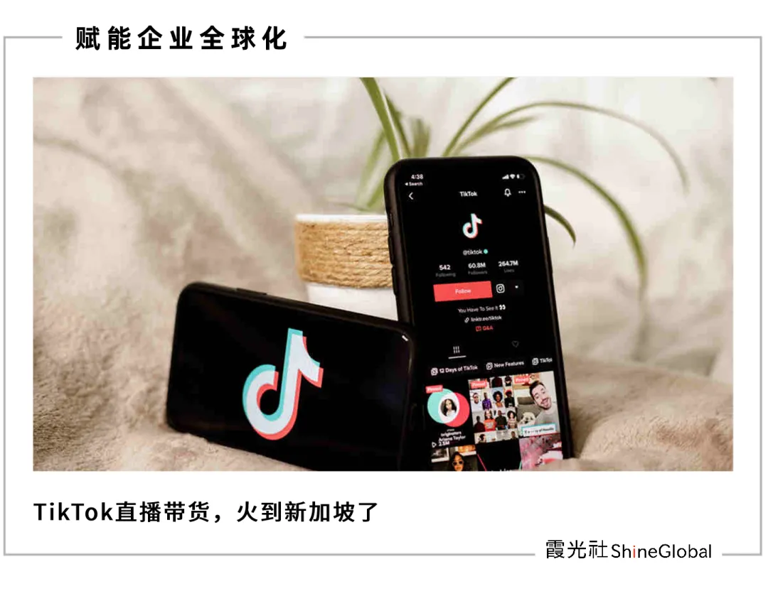 新加坡,被忽视的电商热土