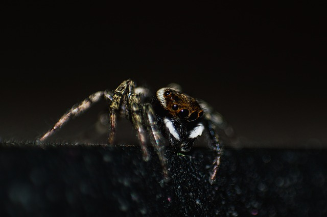 酷澎全球物流服务计划：全球物流解决方案