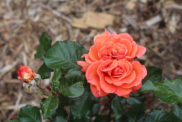 什么是未来跨境行业最需重视的环节