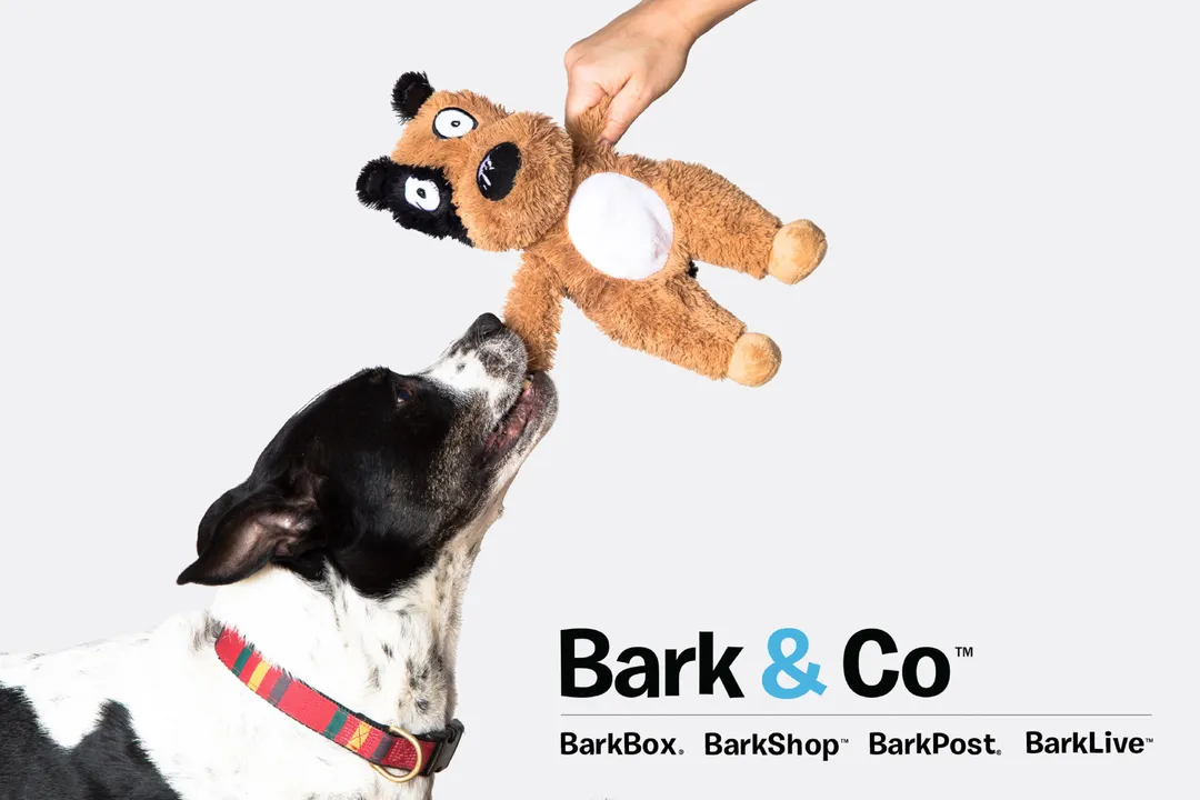 宠物品牌BARK23财年营收5.4亿美元,增长5.5%