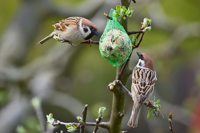 竞品分析维度方式 掌握竞品分析的核心方法