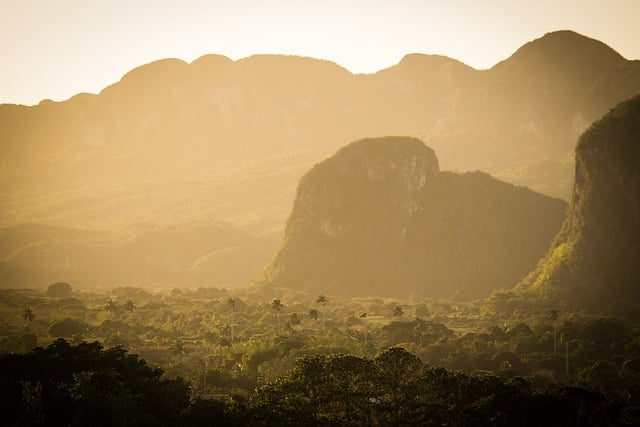 库存周转天数计算公式 