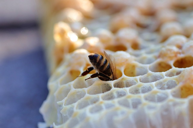  详解进口商注册所需的相关机构和流程