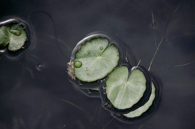 国际物流报价表：全球物流服务价格参考