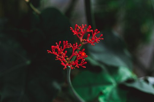 目前最好的二类电商平台有哪些-各自有何优缺点？