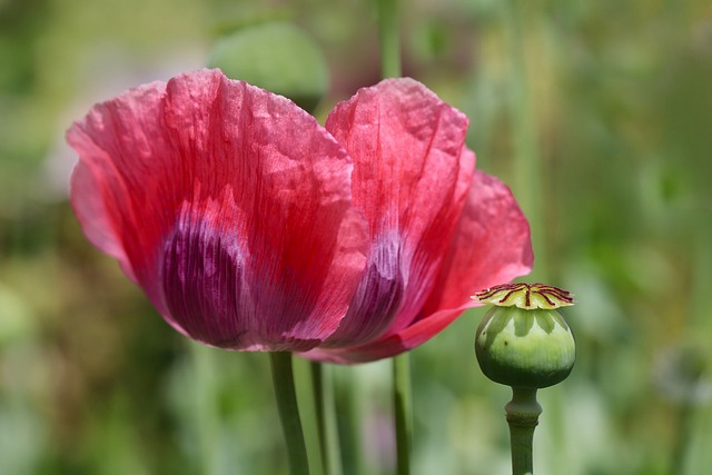 找求购客户的网站-跨境电商找求购客户的网站