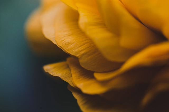 amazon亚马逊官网德国-amazon亚马逊官网德国的特点优势