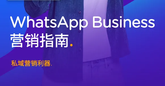 《whatsapp商务营销指南》PDF下载