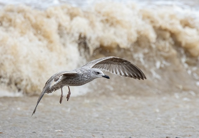 亚马逊跨境电商加盟收费标准