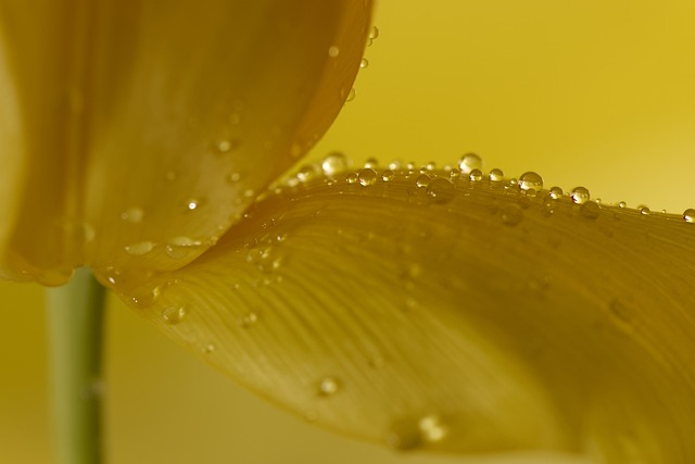 来赞达跨境电商怎么样？