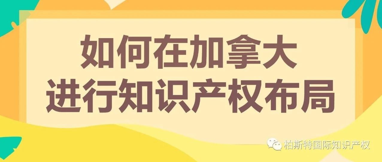 如何在加拿大进行知识产权布局