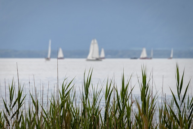 电商物流和传统物流的区别-如何选择适合的物流方式？