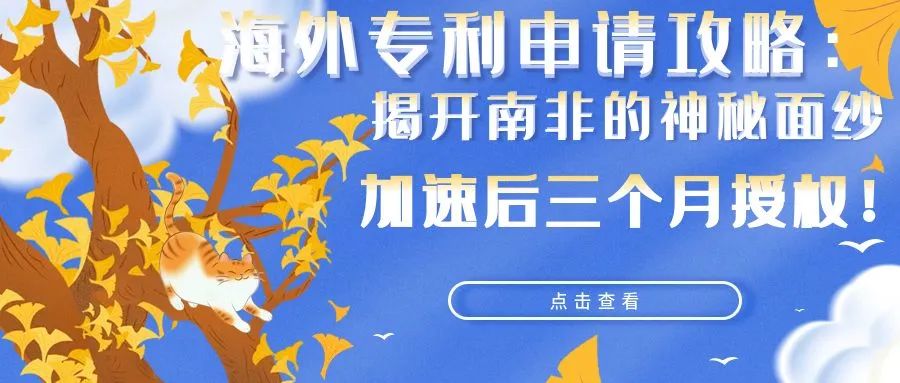 海外专利申请攻略：揭开南非神秘面纱，加速后3个月授权！