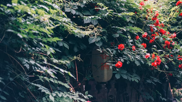 大陆到台湾物流-大陆到台湾可以选择用什么物流方式？