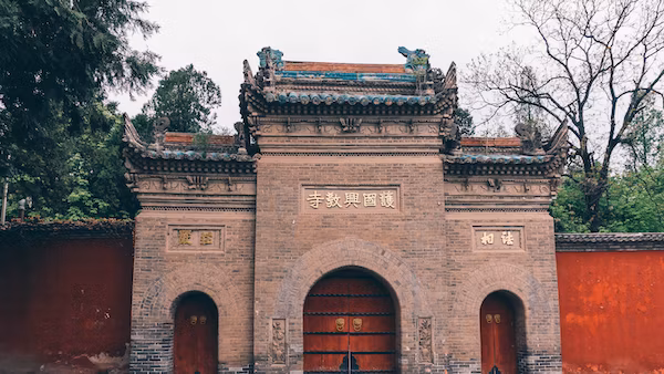 苏易士电商平台-苏易士电商平台主要专注于什么领域？