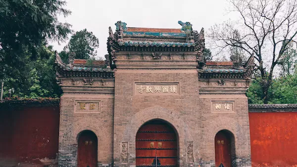 苏易士电商平台-苏易士电商平台主要专注于什么领域？