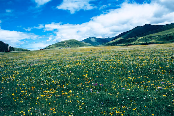 temu跨境电商入驻费用-入驻temu跨境电商平台需要多少费用？