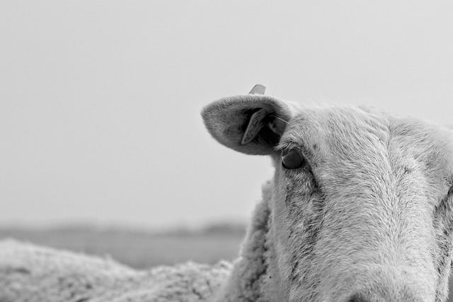 亿格跨境电商-亿格跨境电商怎么样？