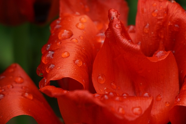 日本跨境电商物流-日本跨境电商物流模式有哪些？