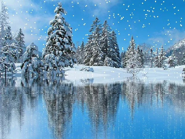 天盛跨境-天盛跨境公司的主要服务项目包括什么?