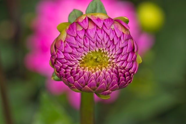 安博会计事务所查询验证服务的优势有哪些?