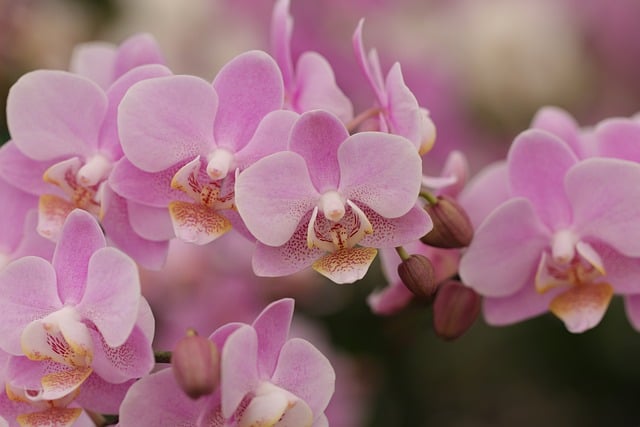 跨境电商物流小包-跨境电商物流小包怎么计算运费?