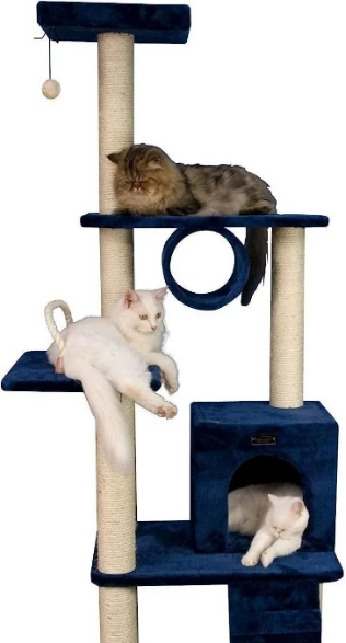 脱销！30 天 GMV 冲 $20W ！TikTok 达人带货的作用不只是打爆品和清库存