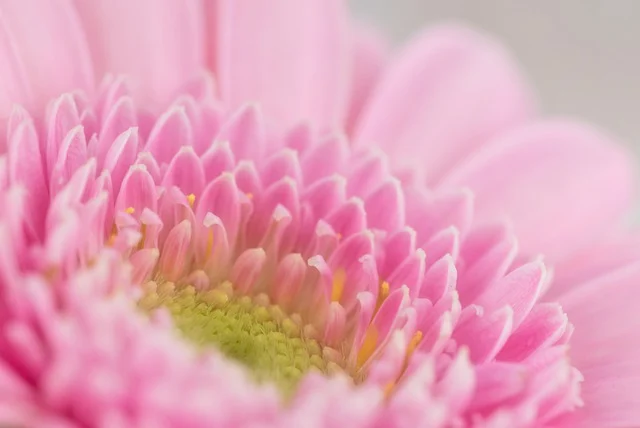 进口税率-进口税率怎么查询?