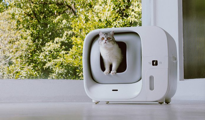 出海宠物品牌Furbulous获天使轮+融资